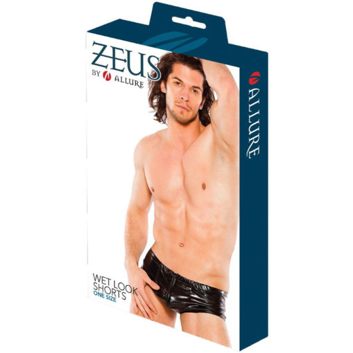 Image de Allure Zeus - Wet Look Briefs - Black - O/S