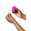 Romp-Suction-Rose